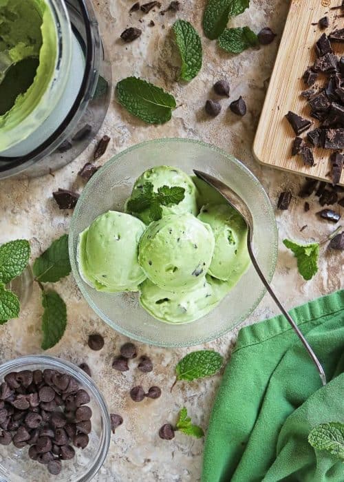 Dairy-Free Ninja Creami Mint Chocolate Chip Ice Cream