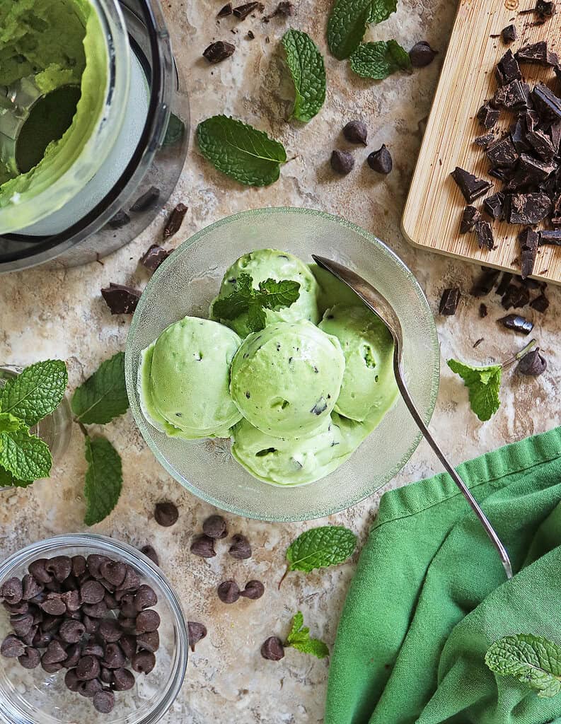 Easy delicious dairy-free ninja creami mint chocolate chip ice cream in a bowl with the creami beside it and mint leaves and chocolate chips surrounding it.