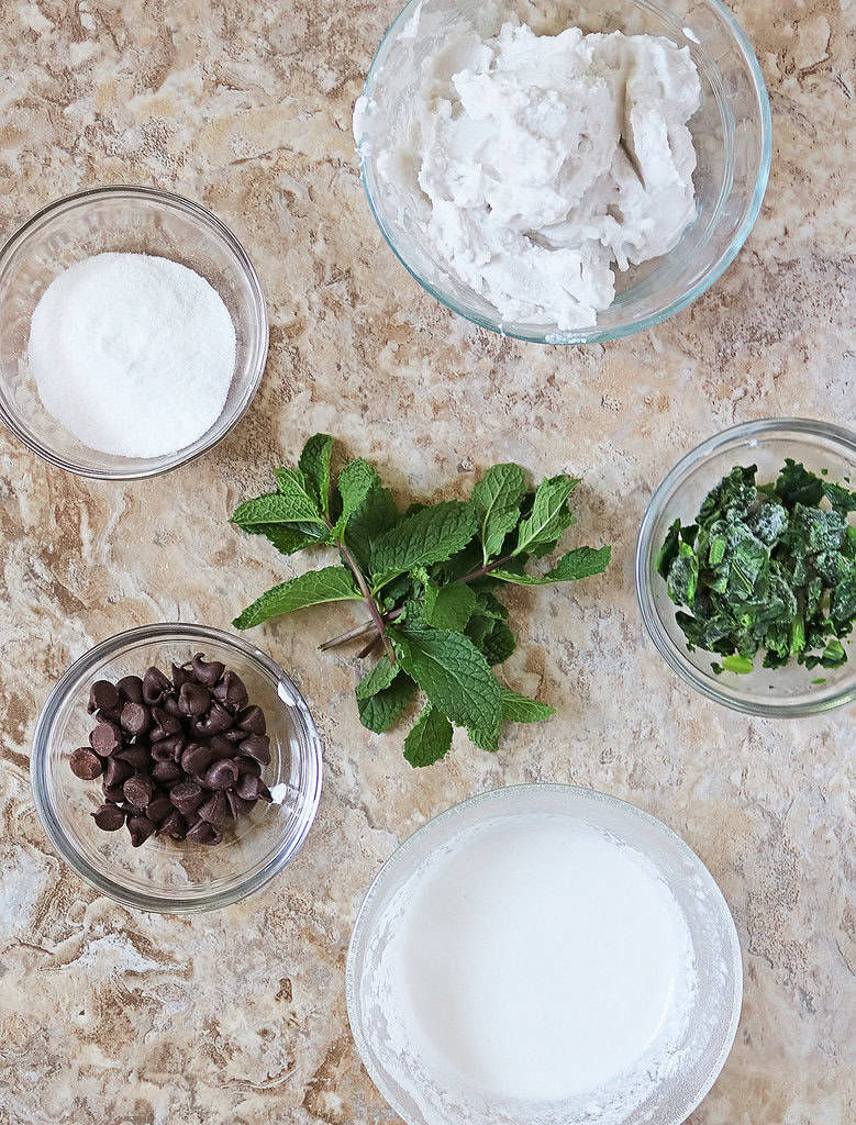 6 Ingredients needed to make Ninja Creami Dairy free mint chocolate chip ice cream on a marble-brown background.