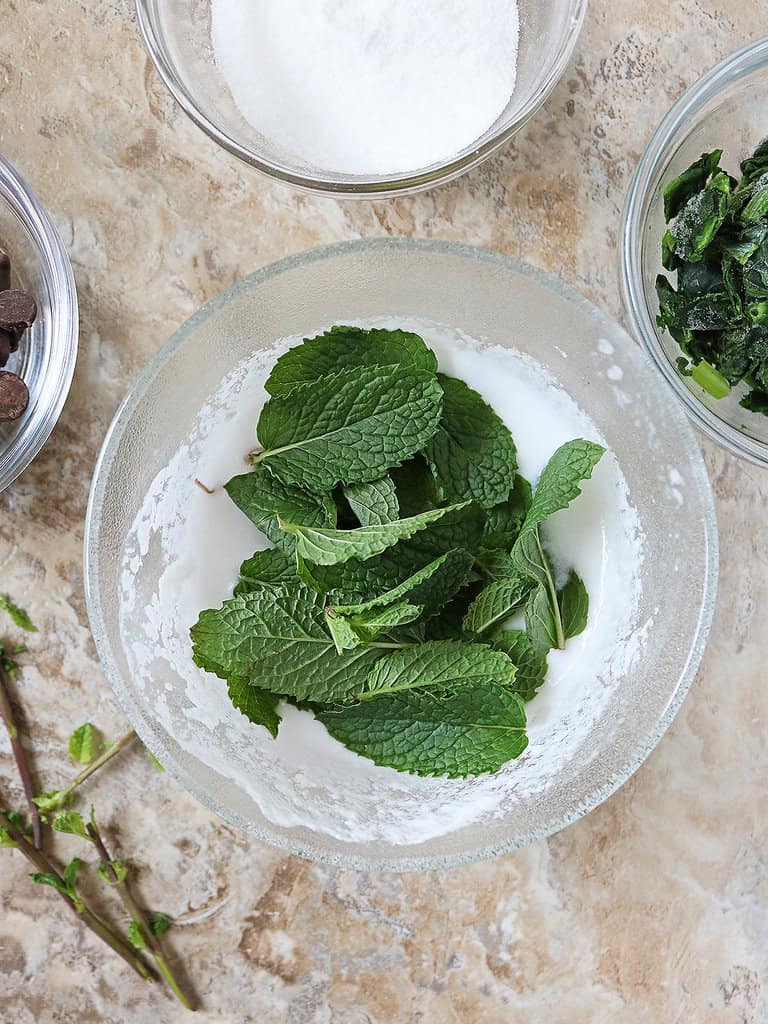 mixing coconut milk and mint leaves together in a small bowl