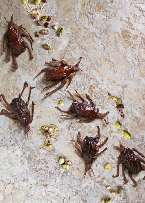 Dubai Chocolate Cockroaches