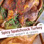Easy Spicy Spatchcock Turkey