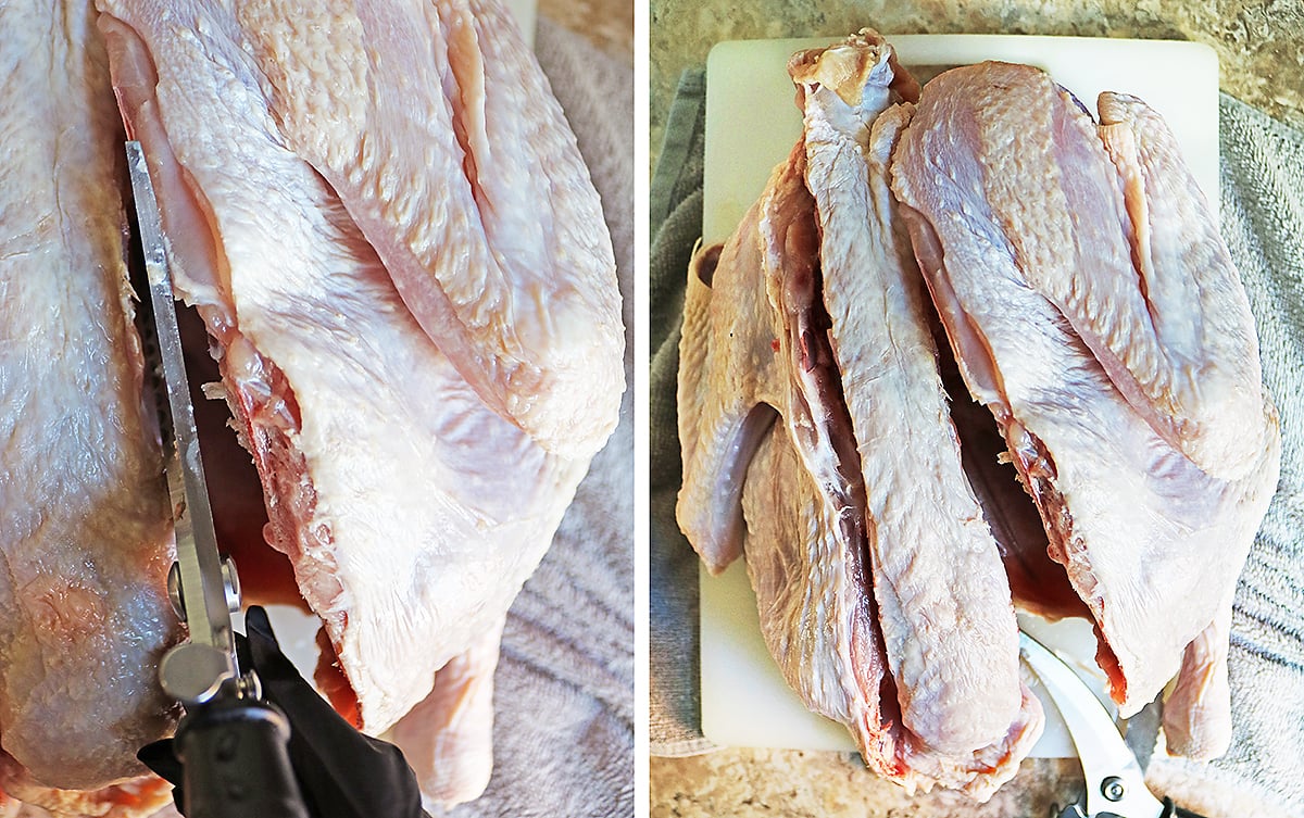 removing the back bone from turkey to spatchcock it