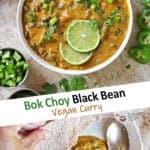 Bok Choy Black Bean Curry