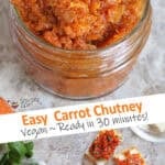 Easy Carrot Chutney Recipe