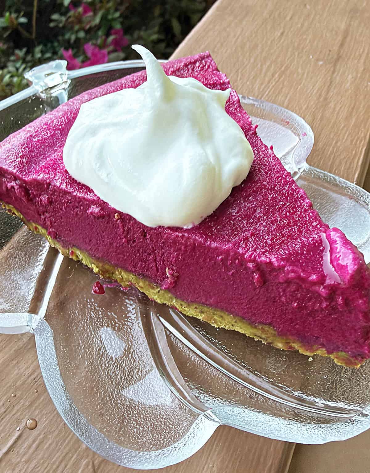 A slice of beet white chocolate pie with pistachio crust