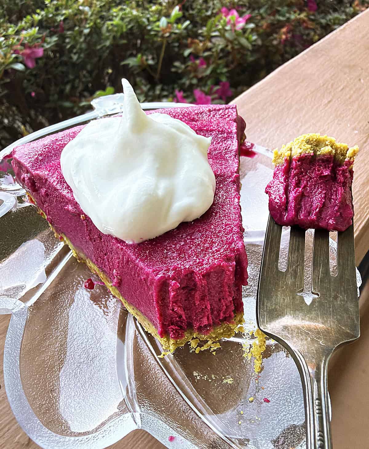 Enjoying a forkful of this beet white chocolate pie with pistachio crust